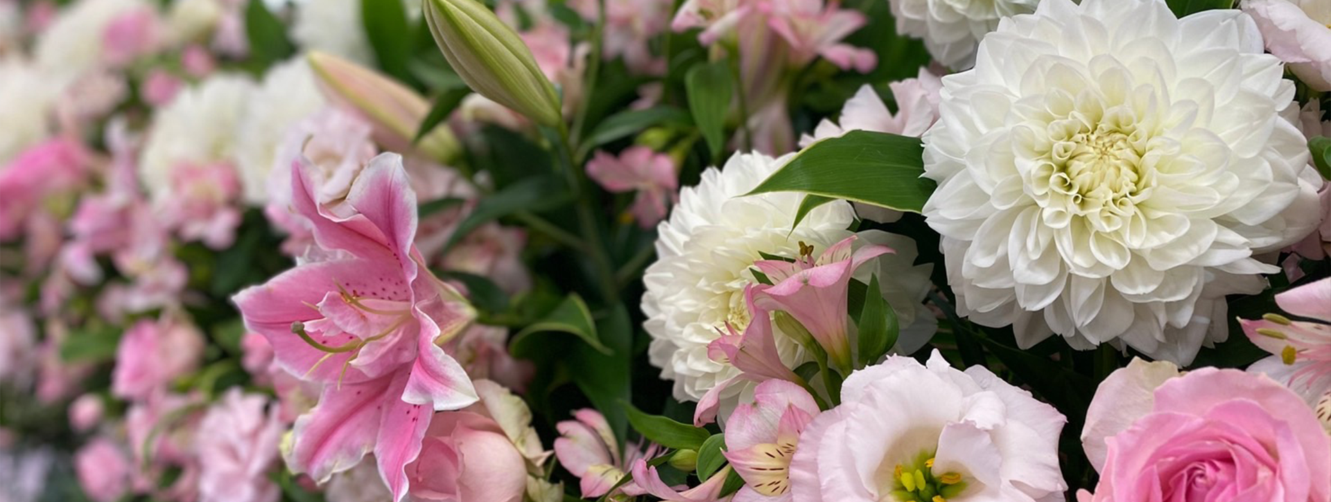 永遠セレモニー